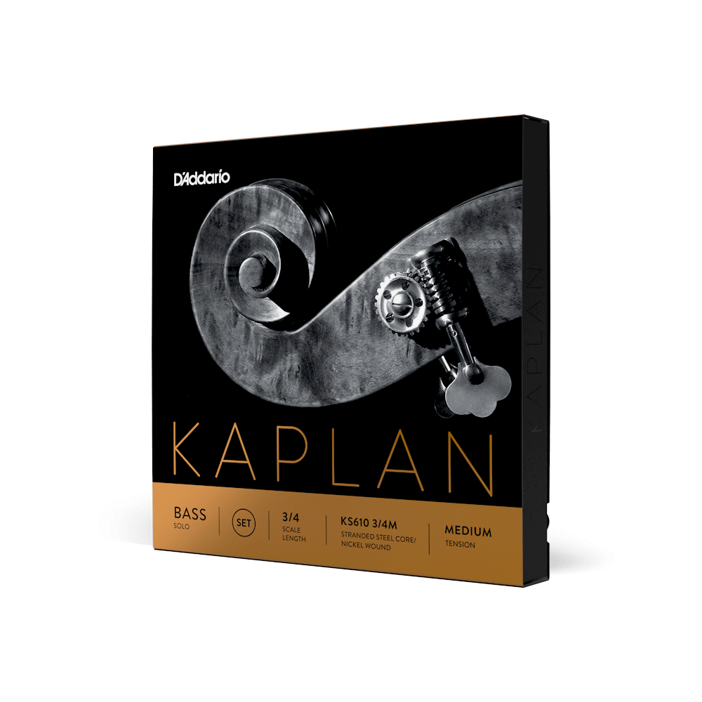 d-addario-kaplan-solo-kontrabass-saitensatz-3-4-medium-tension image 1