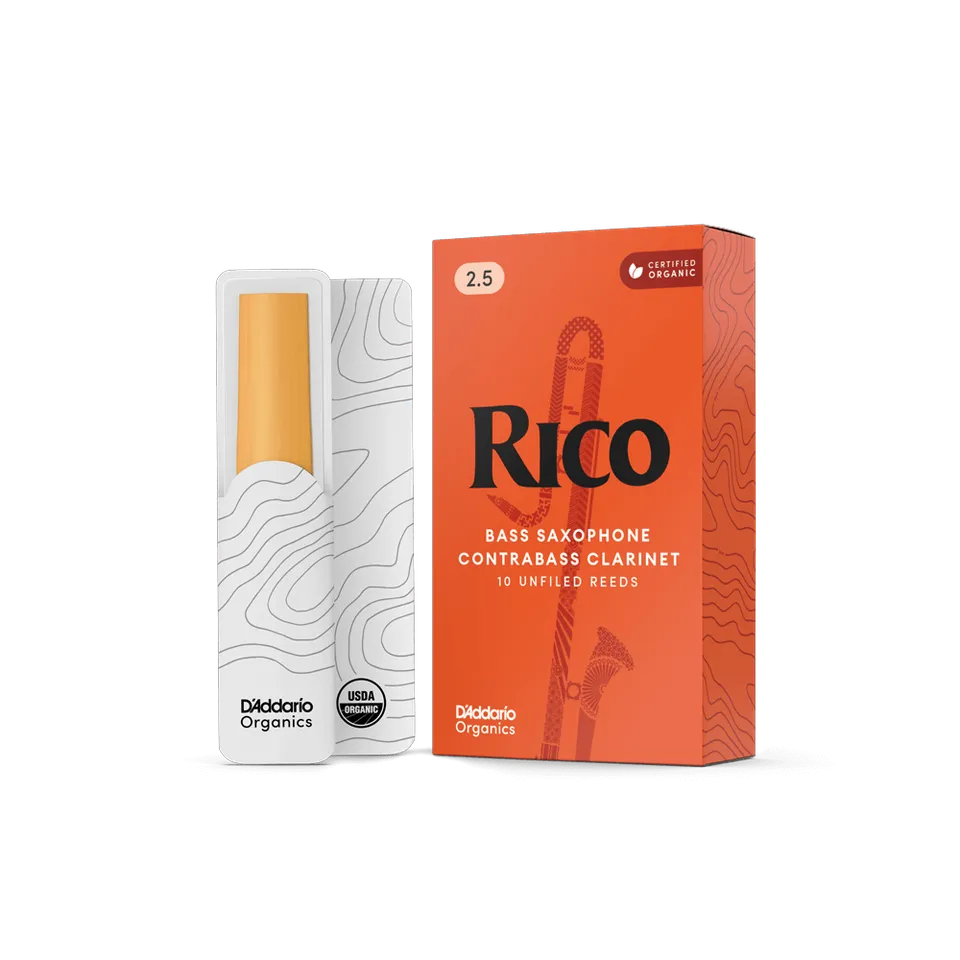 d-addario-rico-kontra-klarinetten-bass-saxophon-bl-tter image 1