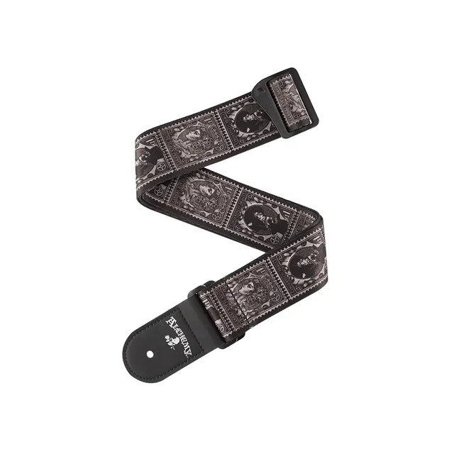 d-addario-alchemy-gitarrengurt-aether-postage-50-mm image 1