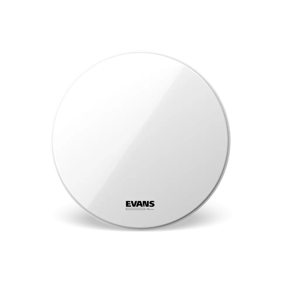 d-addario-evans-eq3-smooth-white-bass-resonanzfell-no-port image 1