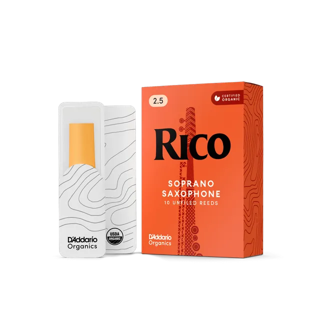 d-addario-rico-organic-sopransaxophon-bl-tter image 1
