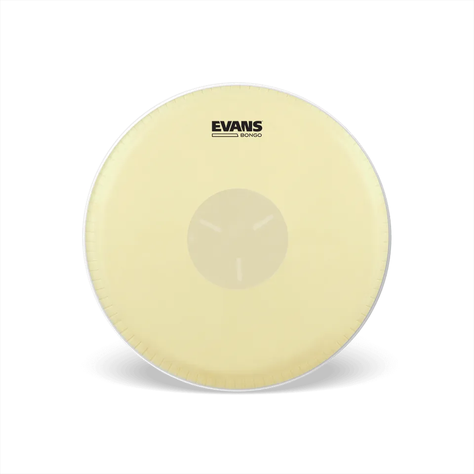d-addario-evans-tri-center-bongo-fell-g1 image 1