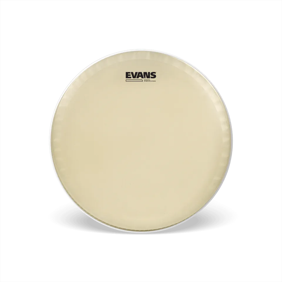 d-addario-evans-strata-1000-concert-snare-batter-drumfell-14-zoll image 1