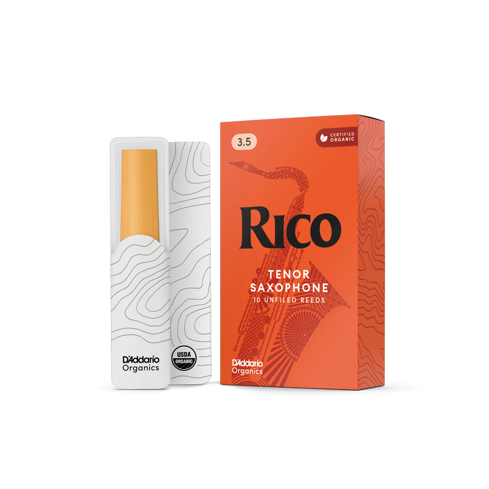 d-addario-rico-organic-tenor-saxophon-bl-tter image 1