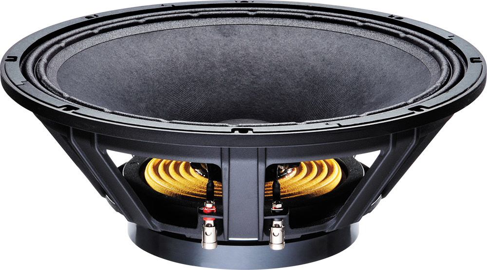 celestion-ftr15-3070e-ftr-series-15-zoll-pa-bass-chassis image 2