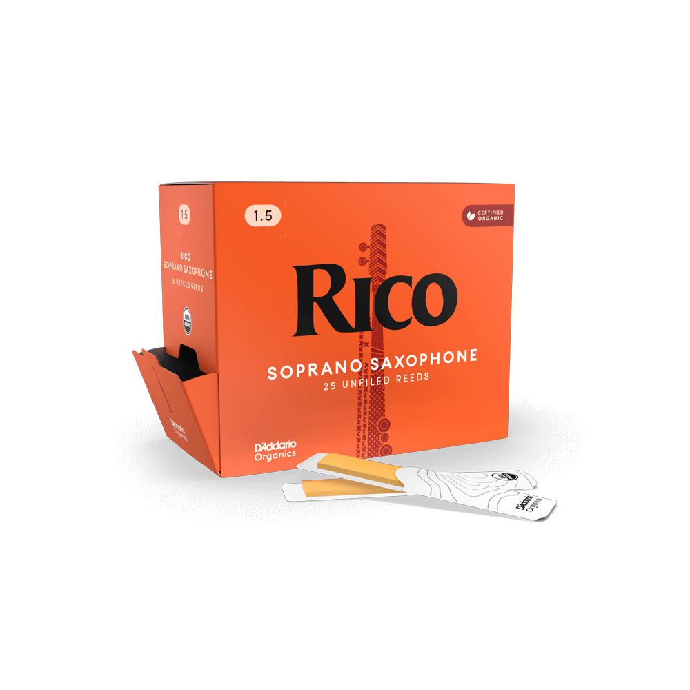 d-addario-rico-organic-sopransaxophon-bl-tter image 3