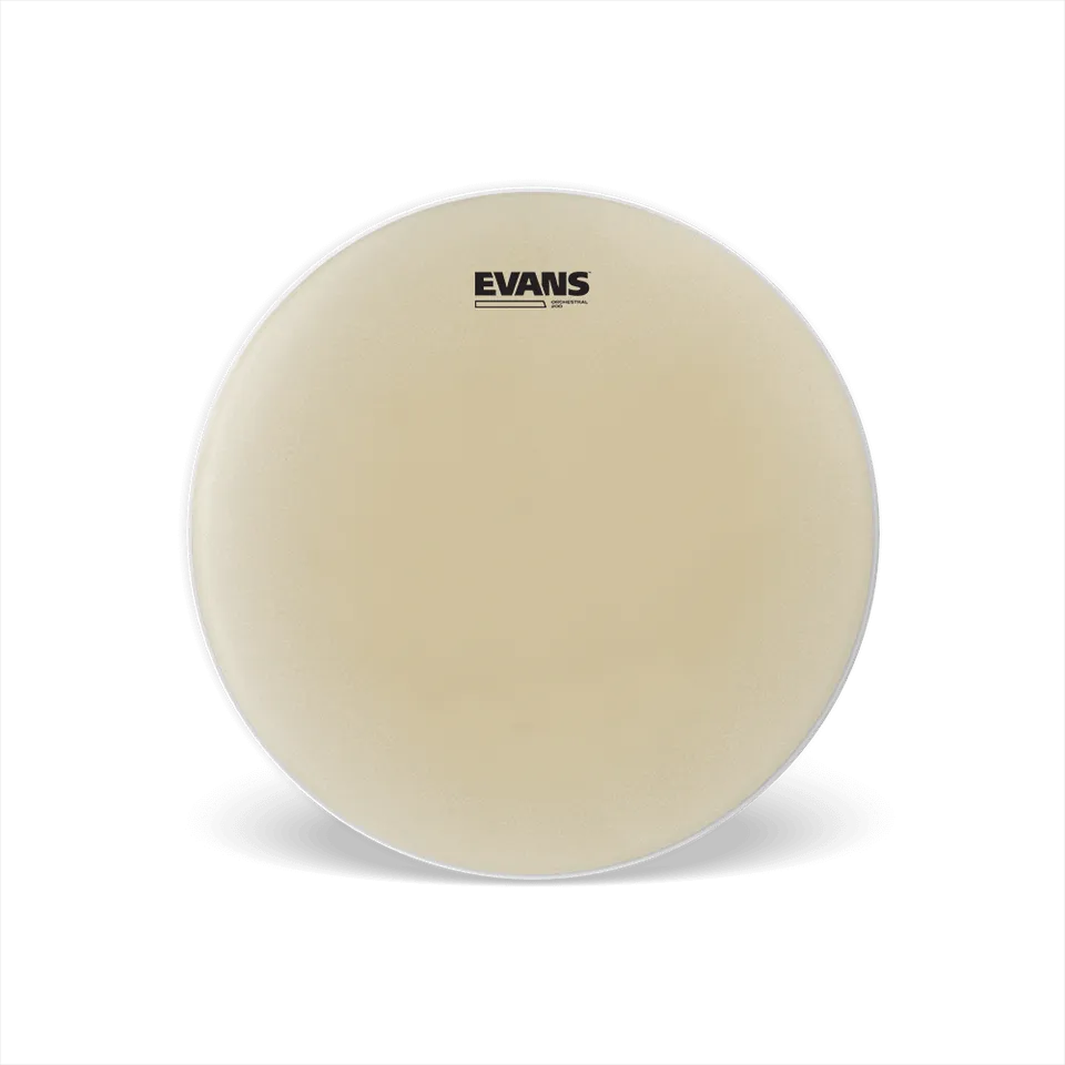 d-addario-evans-orchestral-200-snare-resonanzfell-14-2mil image 1