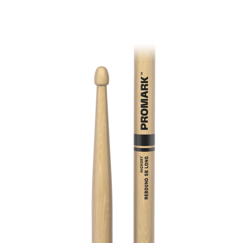 d-addario-rebound-5b-long-hickory-drumstick-acorn-wood-tip image 2