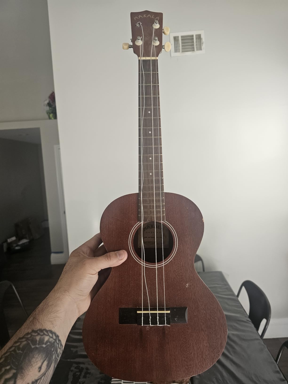 Perfekt für Anfänger-Ukulele