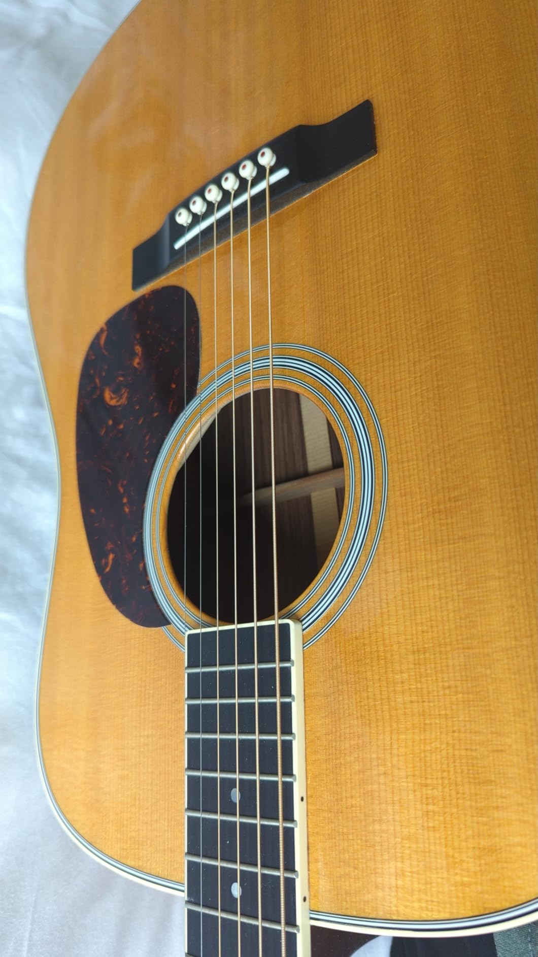 Meine Dreadnought singt