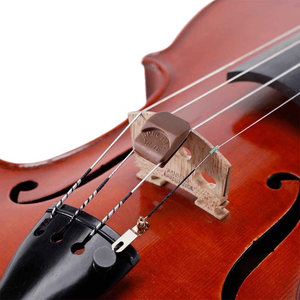 d-addario-spector-violin-d-mpfer-bungsd-mpfer image 3