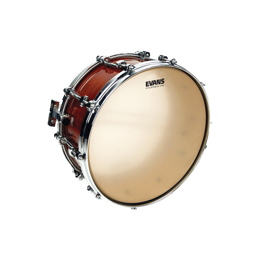 d-addario-evans-strata-700-snare-batter-fell-14-zoll image 2