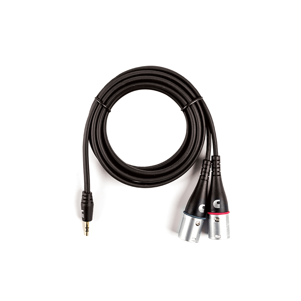 d-addario-custom-series-1-8-zoll-auf-dual-xlr-audiokabel image 1