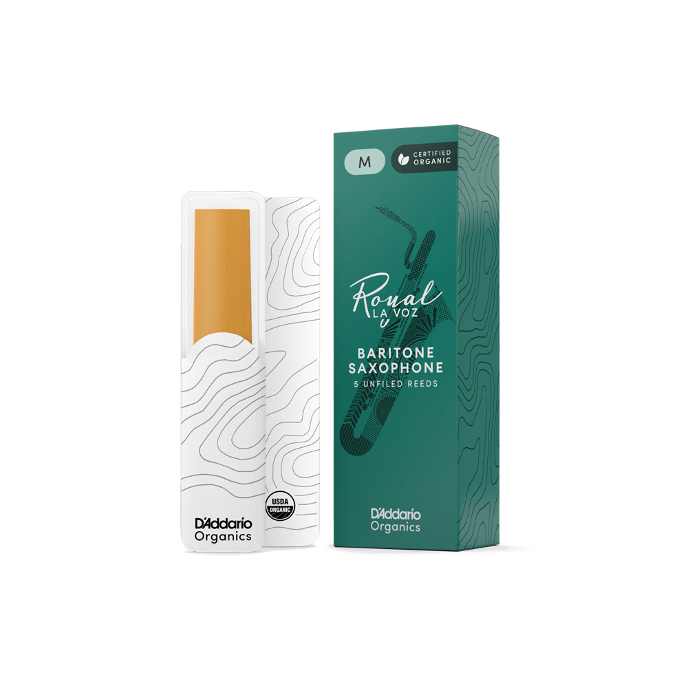 d-addario-la-voz-organic-bariton-saxophon-bl-tter image 2