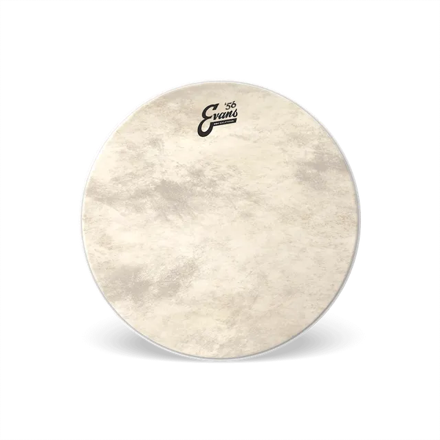 d-addario-evans-eq4-calftone-bass-schlagfell image 1