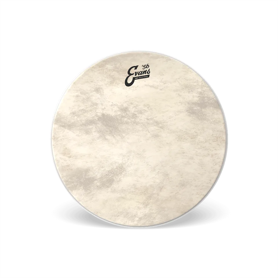 d-addario-evans-eq4-calftone-bass-schlagfell image 1