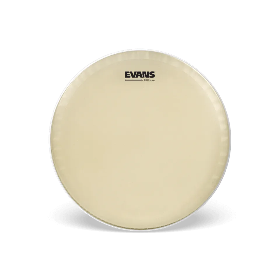 d-addario-evans-strata-staccato-700-snare-schlagfell-14-zoll image 1
