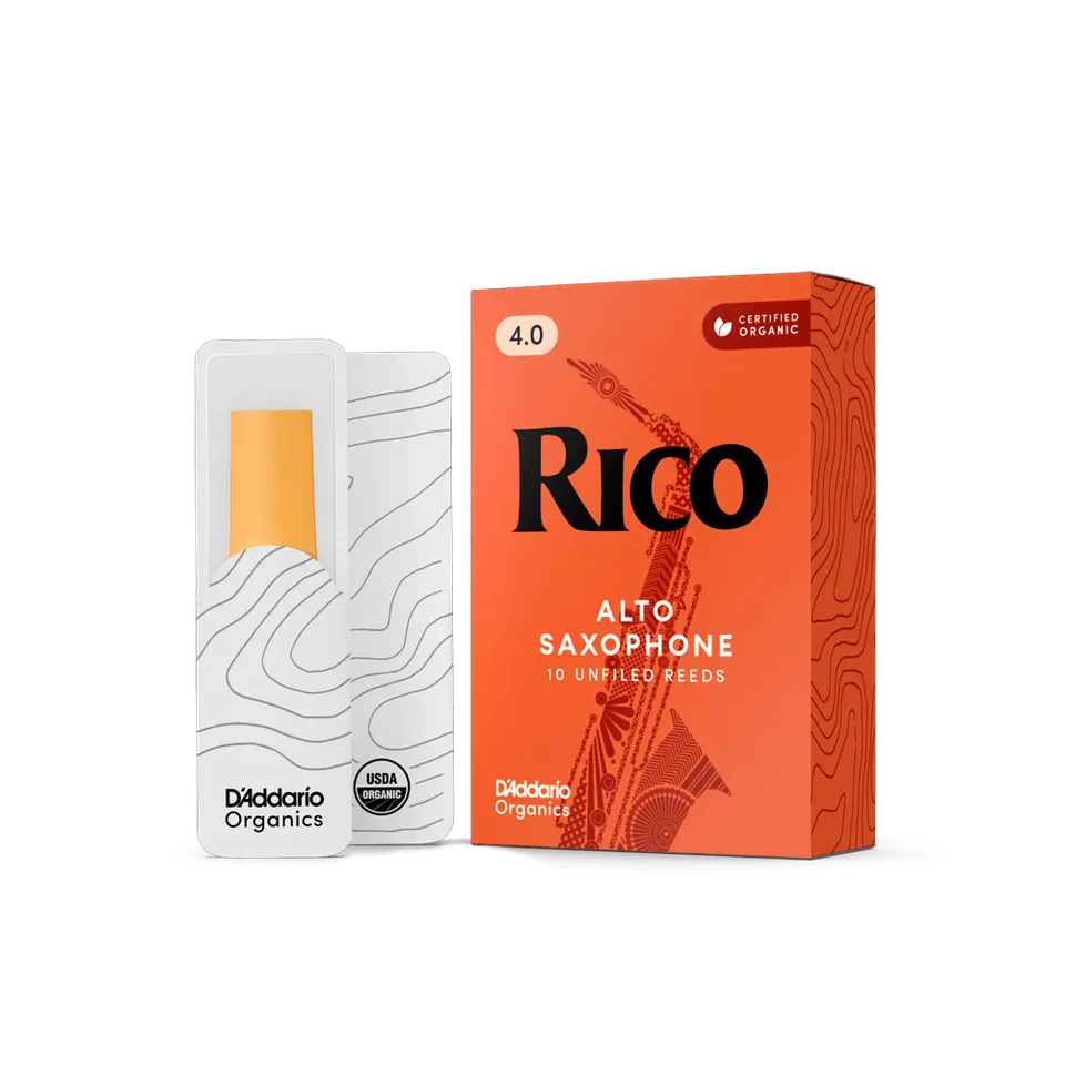 d-addario-rico-organic-alt-saxophon-bl-tter image 1