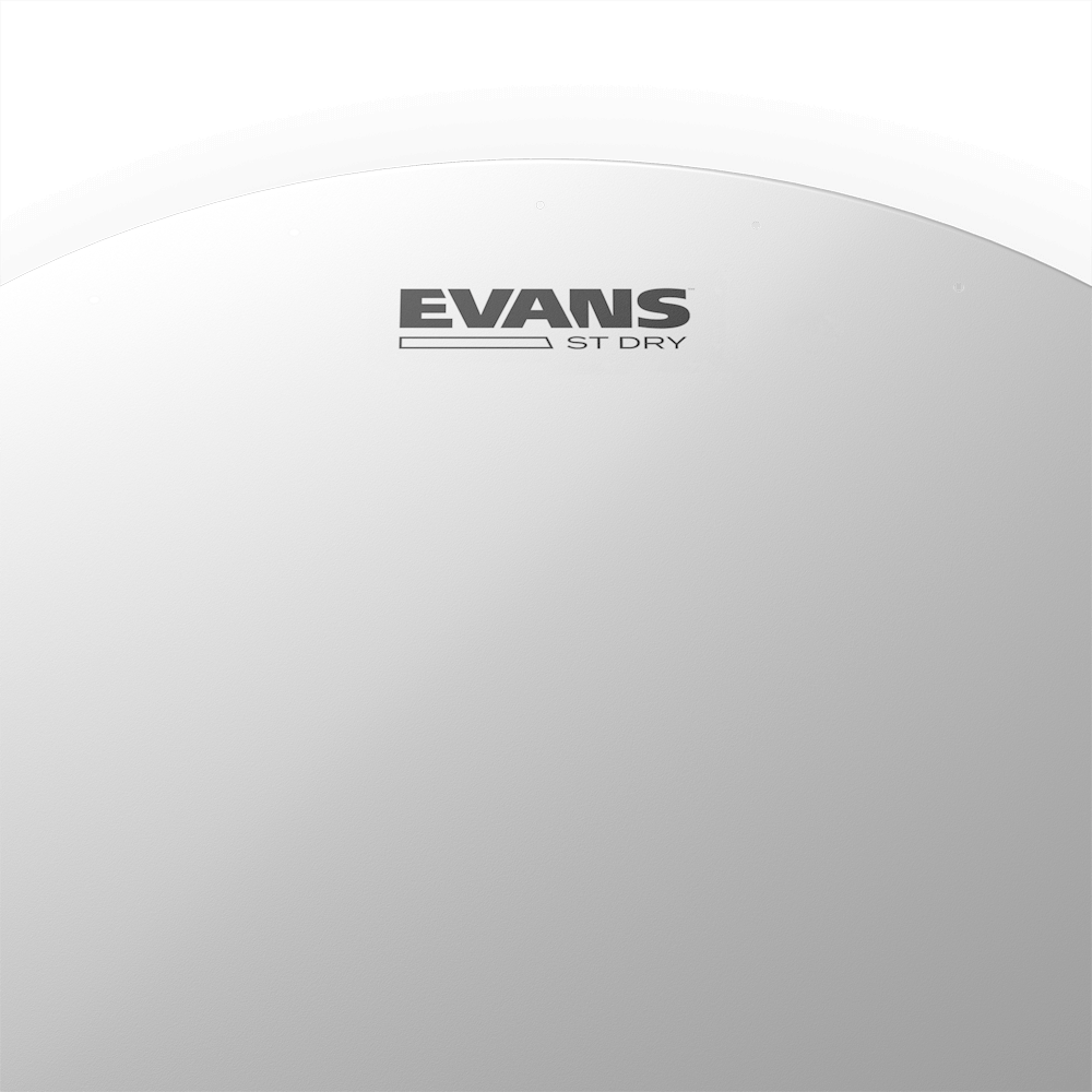 d-addario-evans-st-dry-snare-batter-drumhead image 4