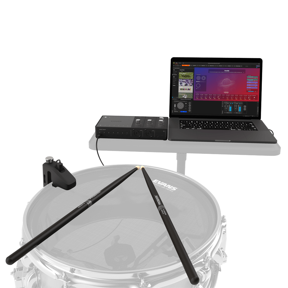d-addario-evans-hybrid-sensory-percussion-starter-pack image 4