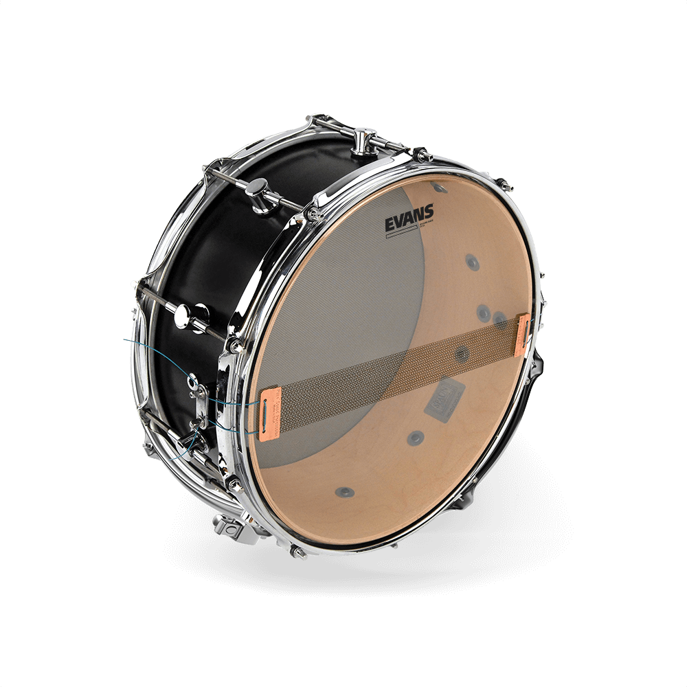 d-addario-evans-snare-side-500-resonanzfell-klar image 3