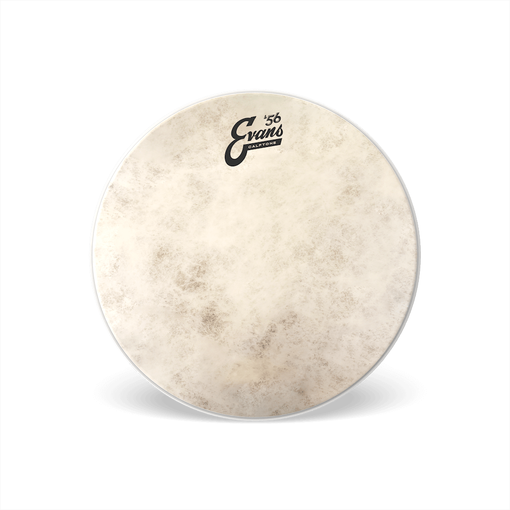 d-addario-evans-calftone-snare-batter-drumfell image 1