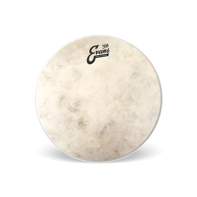 d-addario-evans-calftone-snare-batter-drumfell image 1