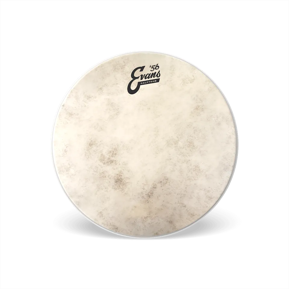 d-addario-evans-calftone-snare-batter-drumfell image 1