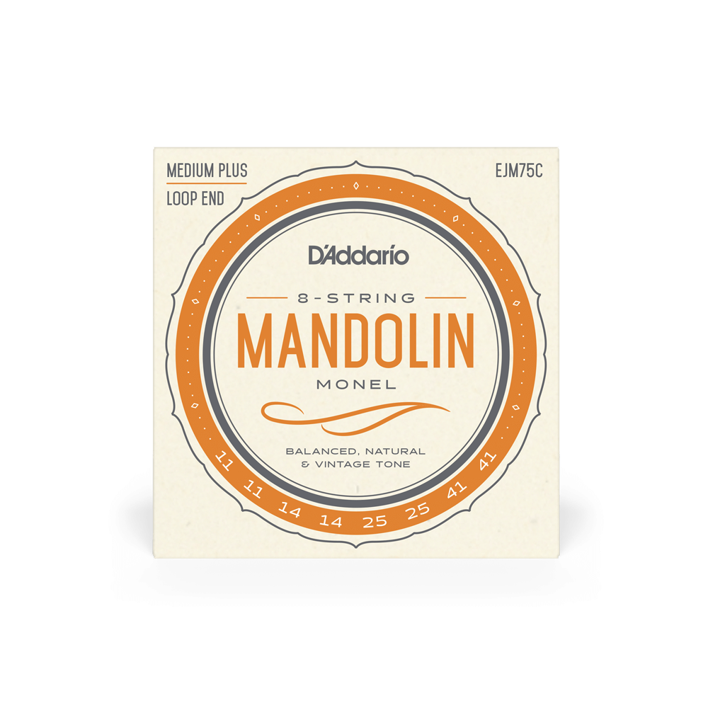 d-addario-ejm75c-monel-mandolinen-saiten-11-41-medium-plus-loopend image 2