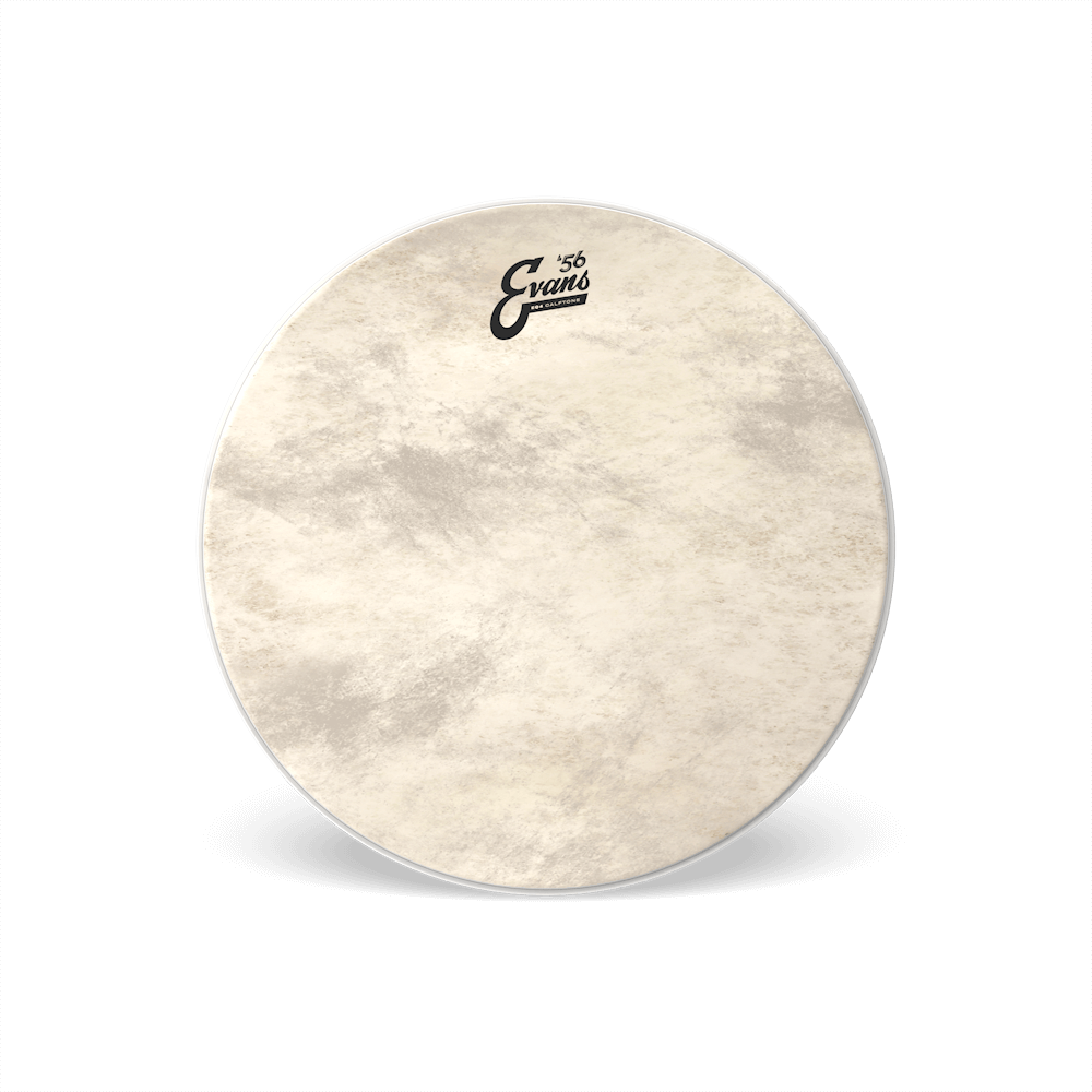 d-addario-evans-eq4-calftone-bass-reso-drumhead image 7