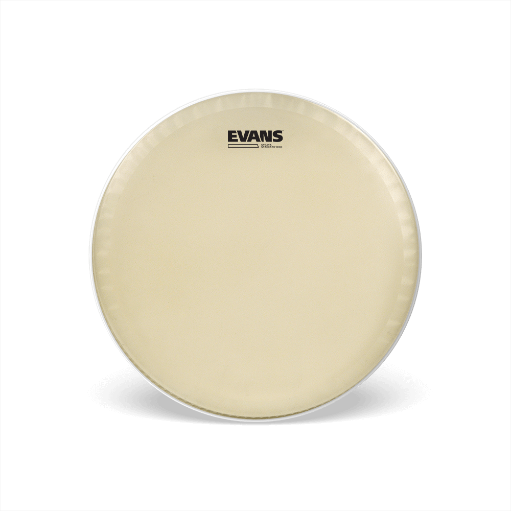 d-addario-evans-strata-1000-concert-snare-batter-drumfell-14-zoll image 1