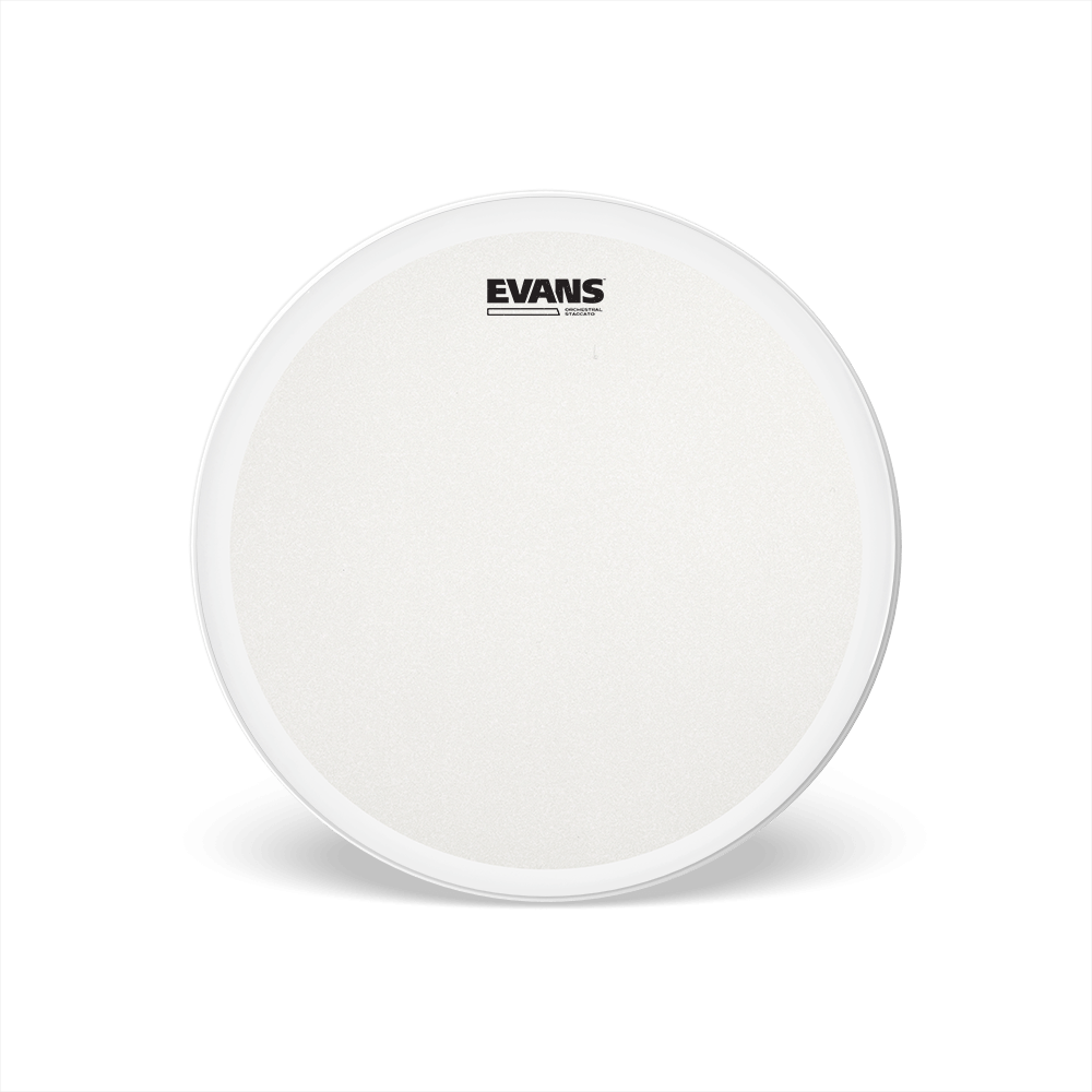 d-addario-evans-orchestral-staccato-snare-batter-fell-14-zoll image 1