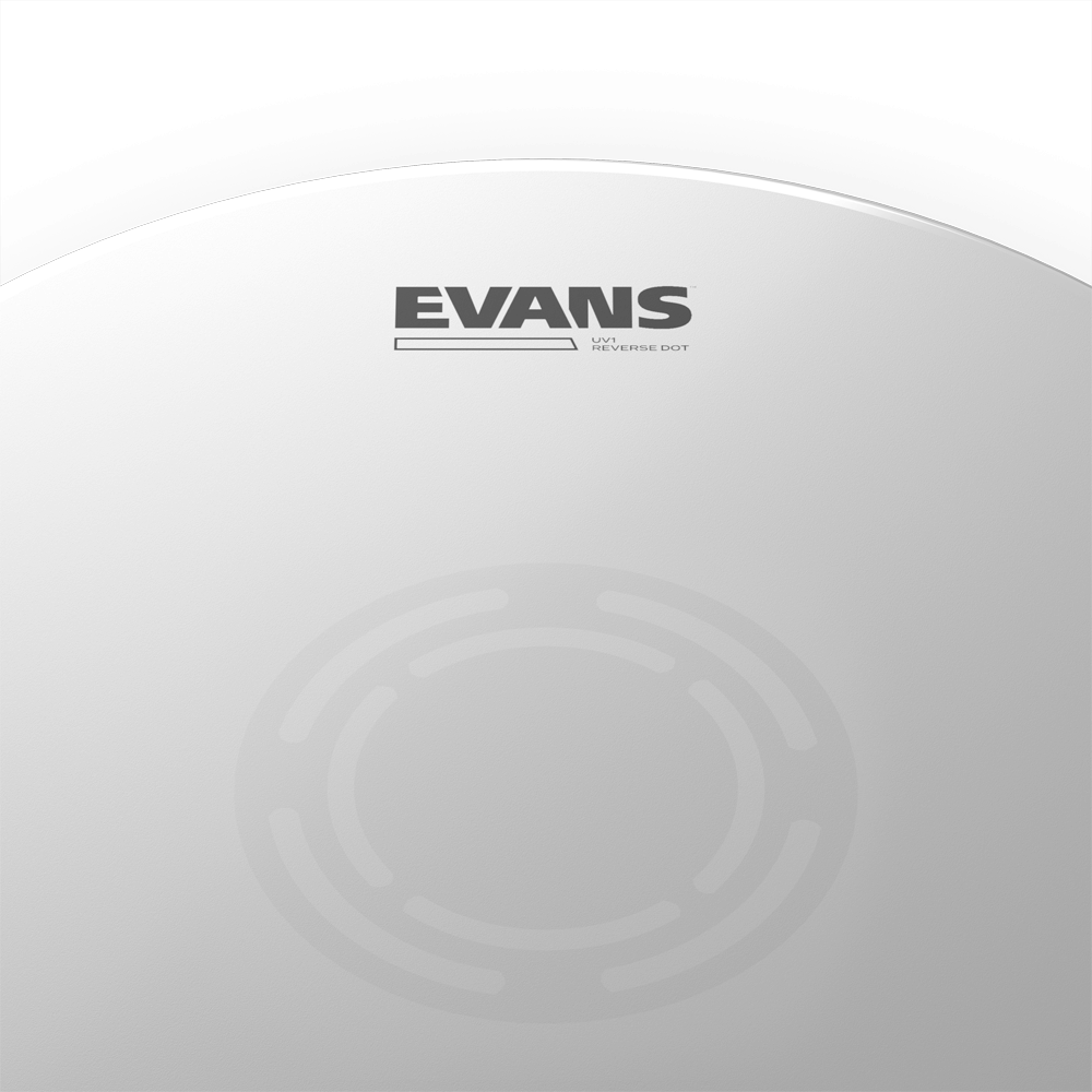 d-addario-evans-uv1-reverse-dot-coated-snare-schlagfell image 3