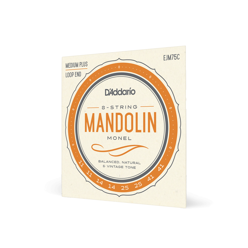 d-addario-ejm75c-monel-mandolinen-saiten-11-41-medium-plus-loopend image 1