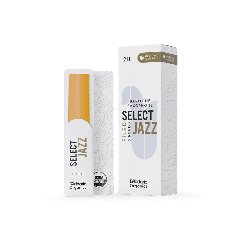 d-addario-organic-select-jazz-filed-bariton-saxophon-bl-tter image 1