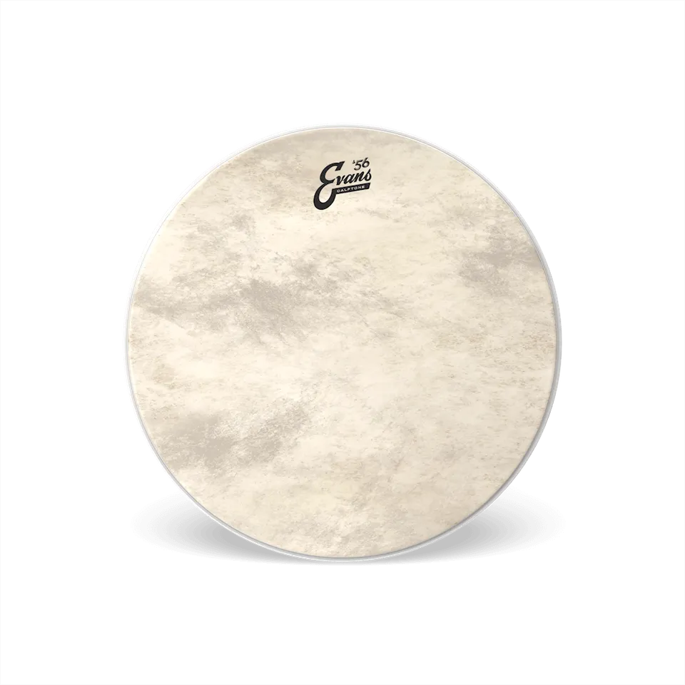 d-addario-evans-calftone-bass-reso-drumfell image 1