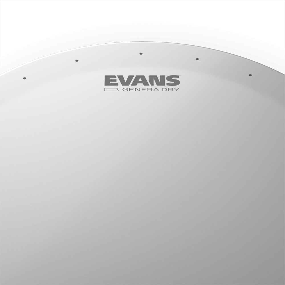 d-addario-evans-genera-dry-snare-batter-drumfell image 5