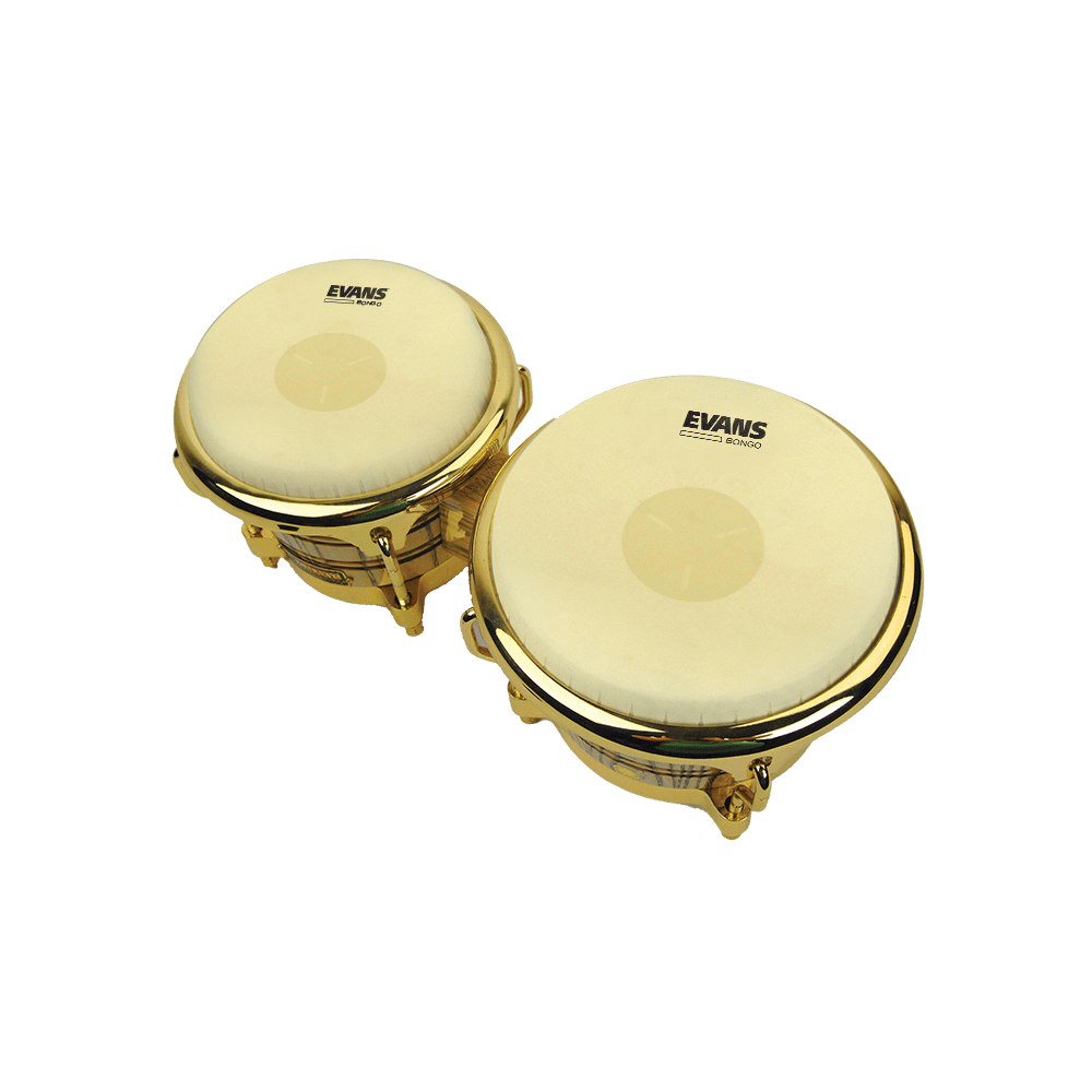 d-addario-evans-tri-center-bongo-fell-g1 image 4