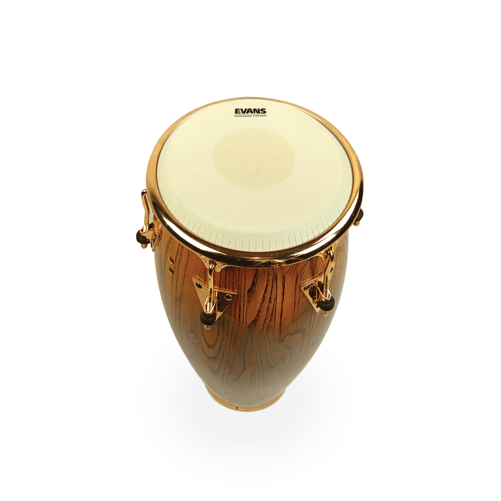 d-addario-evans-tri-center-conga-drumfell image 8