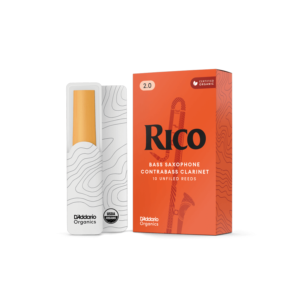 d-addario-rico-kontra-klarinetten-bass-saxophon-bl-tter image 2