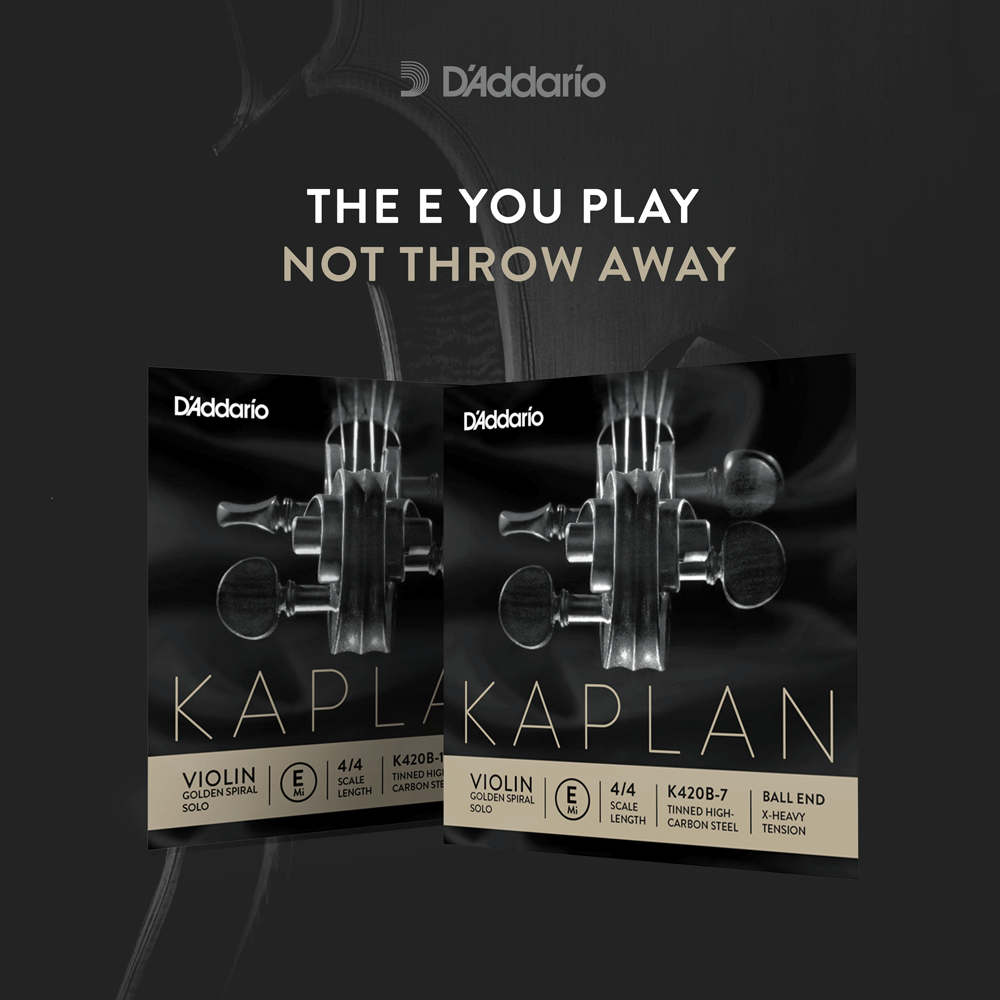 d-addario-kaplan-non-whistling-violin-e-saite-4-4 image 5