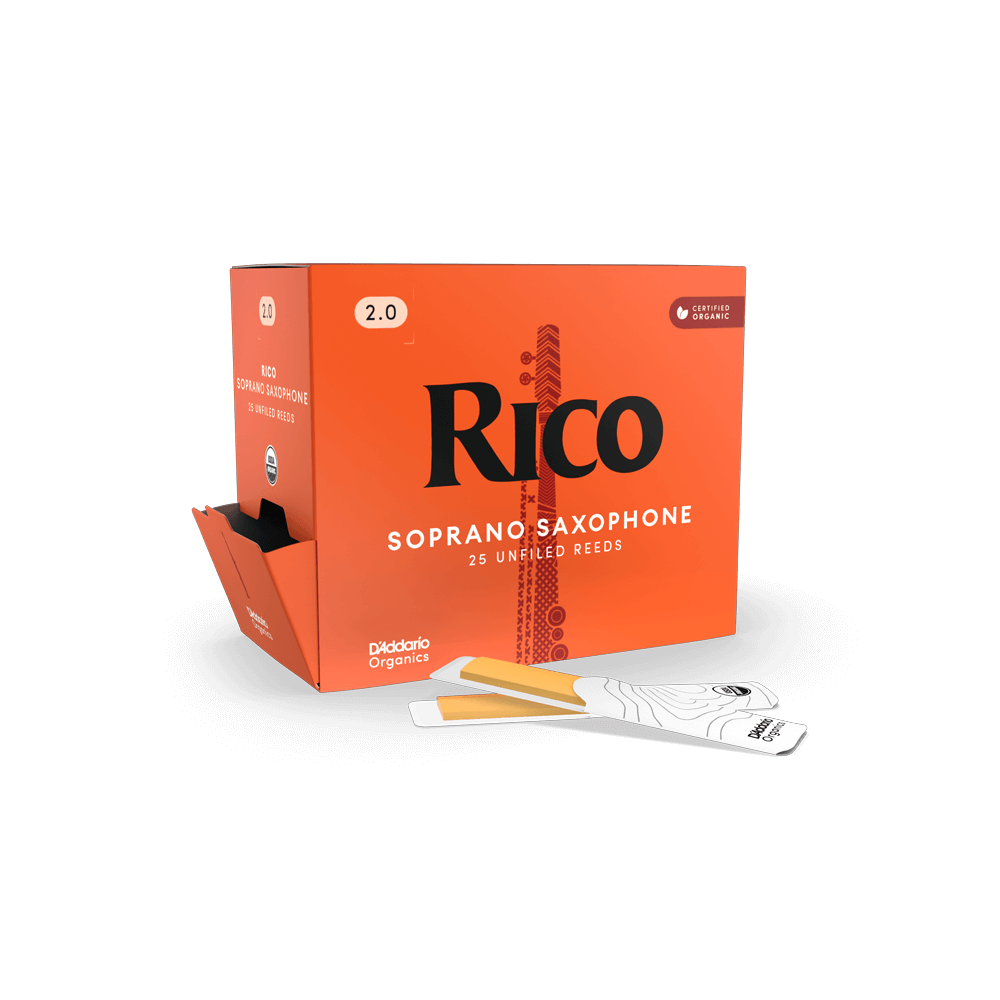 d-addario-rico-organic-sopransaxophon-bl-tter image 2