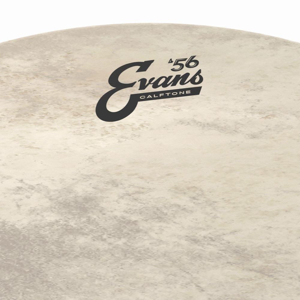 d-addario-evans-calftone-bass-batter-trommelfell image 8