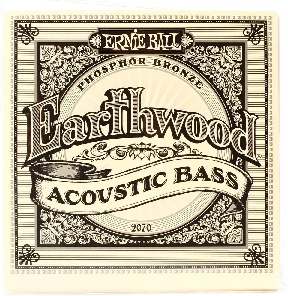 ernie-ball-earthwood-phosphor-bronze-akustik-bass-saiten-45-95 image 1