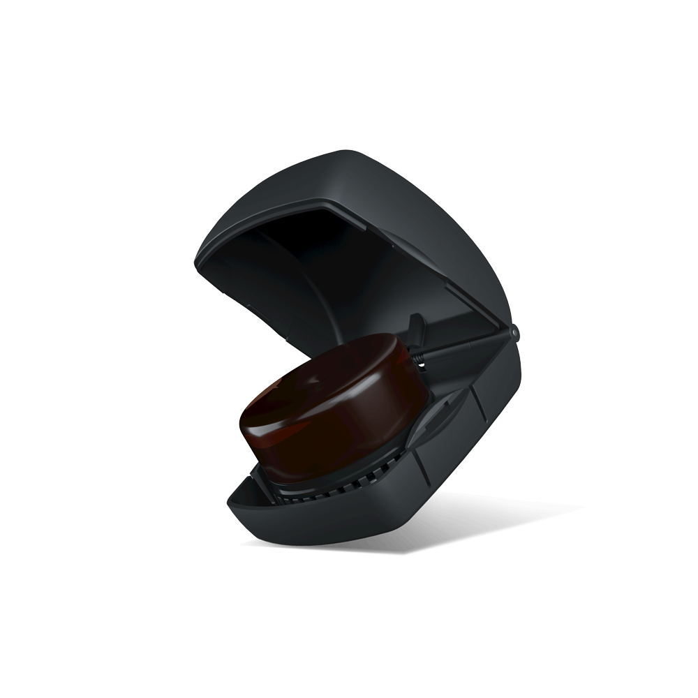 d-addario-kaplan-premium-bogen-kolophonium-f-r-violine-viola-cello image 4