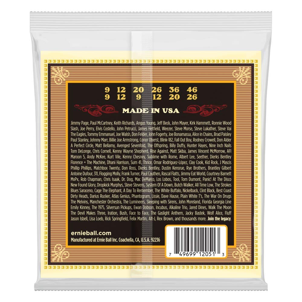 ernie-ball-earthwood-silk-steel-soft-akustik-gitarrensaiten-12-saiter-80-20-bron image 2