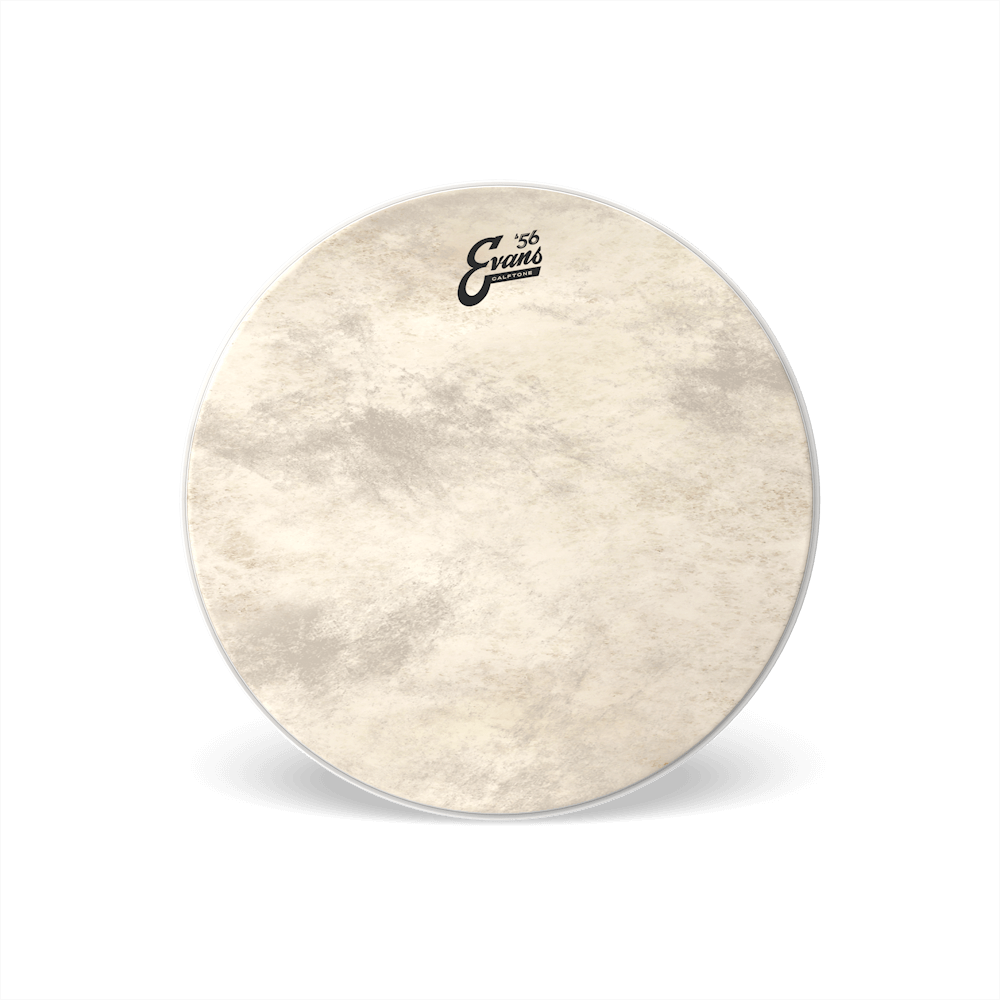 d-addario-evans-calftone-bass-batter-trommelfell image 2