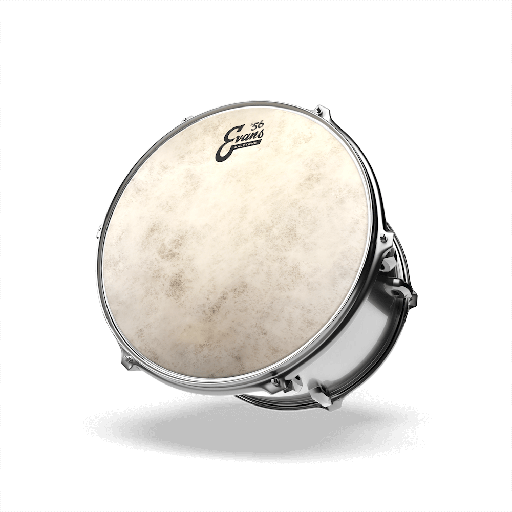 d-addario-evans-calftone-snare-batter-drumfell image 8