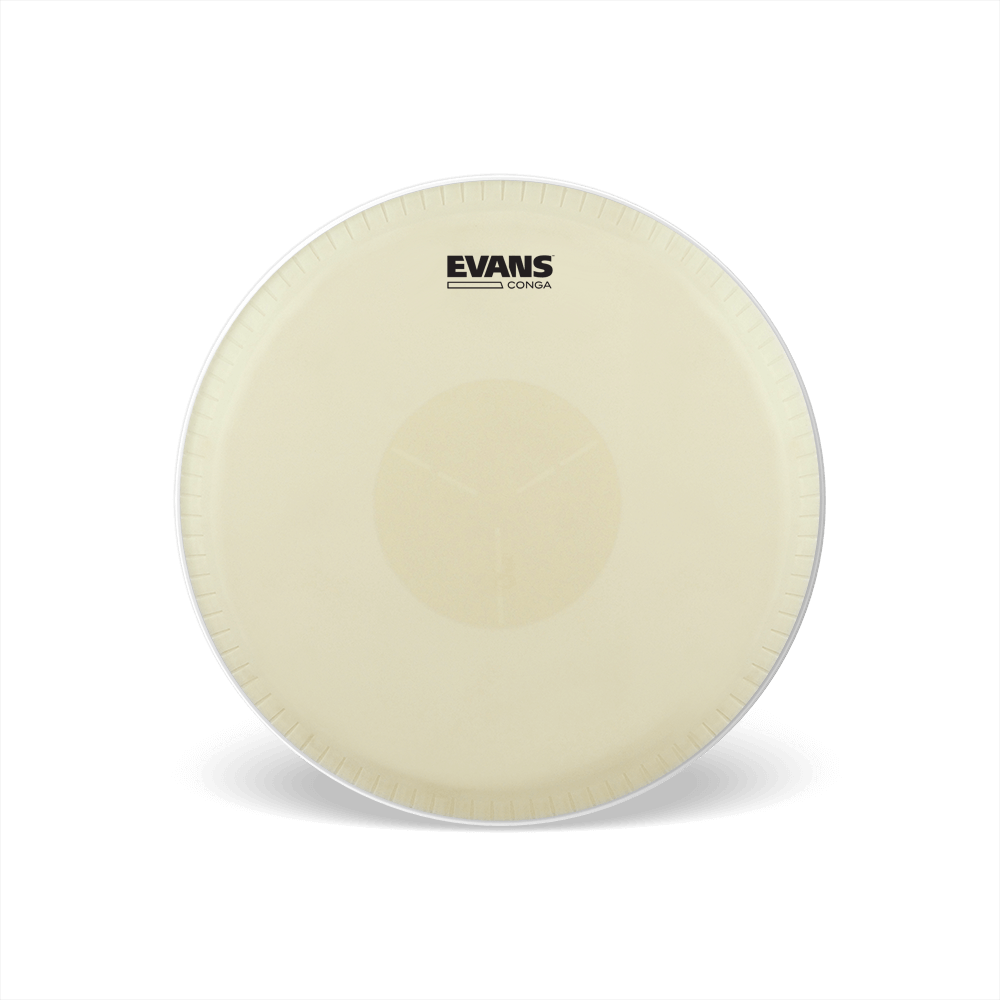 d-addario-evans-tri-center-conga-drumfell image 4