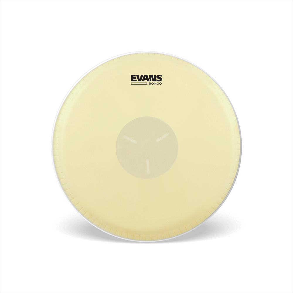 d-addario-evans-tri-center-bongo-fell-g1 image 1